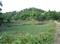 綿陽(yáng)市三臺縣土地整理前后